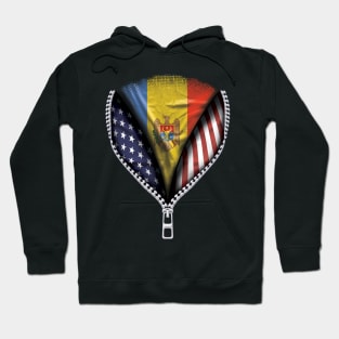 Moldovan Flag  Moldova Flag American Flag Zip Down - Gift for Moldovan From Moldova Hoodie